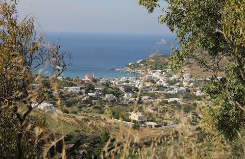 Argo-studios - Foto 57