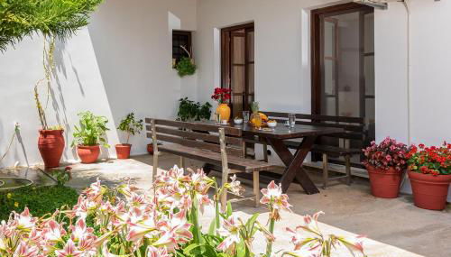 The backyard- Κατοικία στην Αγριά, Βόλου - Foto 4, Garden, Garden view