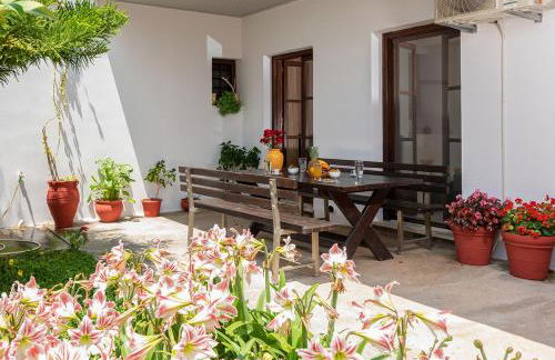 The backyard- Κατοικία στην Αγριά, Βόλου - Foto 4