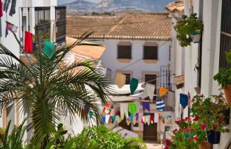 La Madroñala - Foto 22