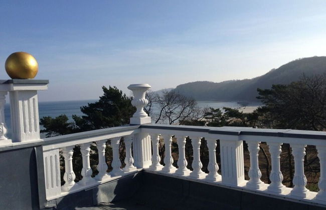 Seeschwalbe in Villa Sirene, Binz - Photo 22