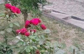 La Maison de Maricla' - Foto 25