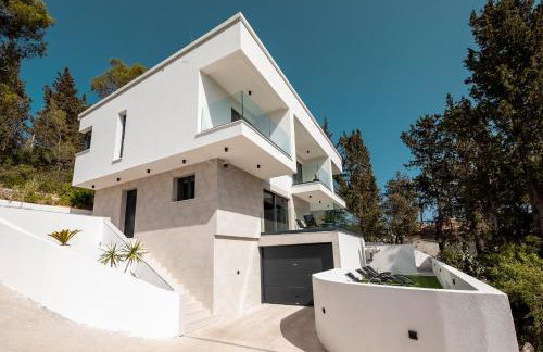 My seagull - Photo 5