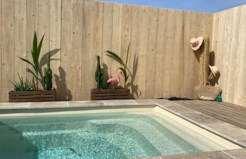 Mas des Oliviers, maison avec piscine privative et chauffée, 3 animaux acceptés LOCAMARGUE - Foto 15