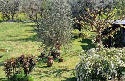 Casa Morena - Foto 29