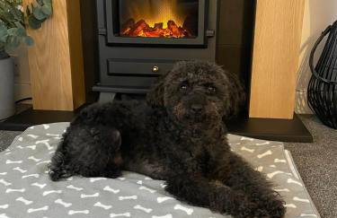 Kinneuchar Cottage - by Elie, Dog Friendly. - Foto 6