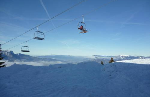 Appartements Le Clos des Gentianes - Foto 28