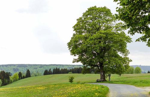 Ferienwohnung Ebert - Foto 29
