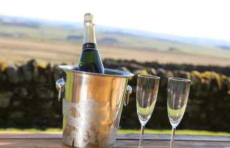 Vesta View - Photo 41