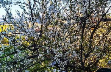 West Garden At Aigio By Greece Apartments - Photo 15