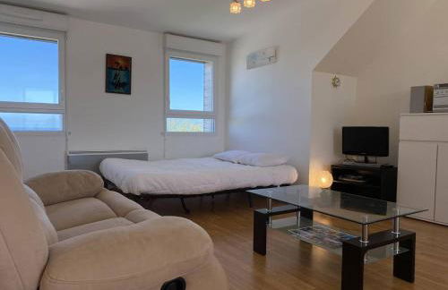 353 - T2 lumineux avec vue imprenable sur le Cap Fréhel et l'Anse du Croc. - Foto 5