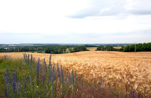 Haus Meistereck Melzow - Foto 26