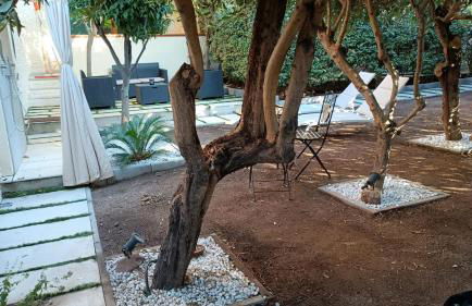 Appartamento Vacanze alla Maddalena - Foto 52