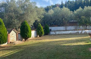 Elaiones house - Photo 10