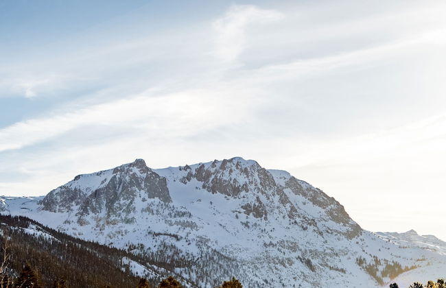 Heidelberg Inn - Foto 56