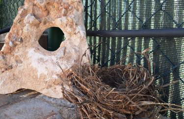 La Palmera Casa Rural - Foto 38