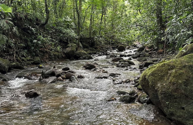 La Fortuna - Foto 33