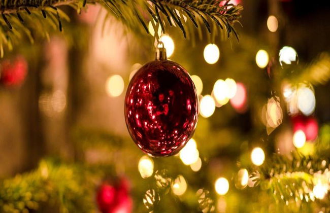 Strasbourg Christmas Markets - Private - Photo 2