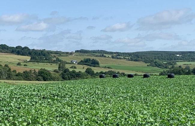 Traditional Bothy Accommodation - Foto 10