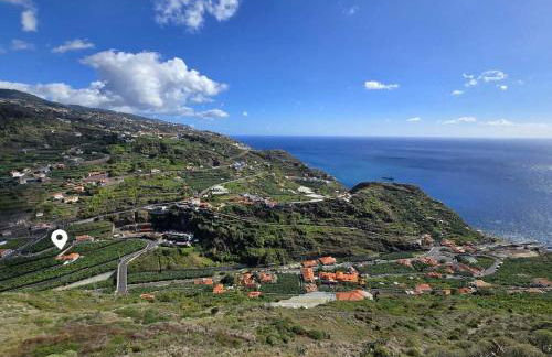 Banana Lovers - Farm View - Photo 20