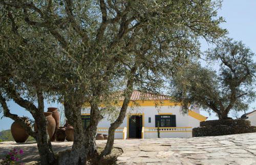 Quinta da Côrte - Foto 39