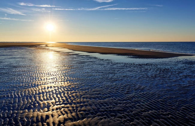 Beach House Langeoog - Foto 25