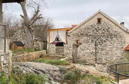 Apartman Robi - Photo 23