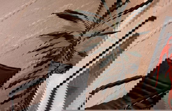 Just Like Home Spa & Apartment with private pool - Foto 7