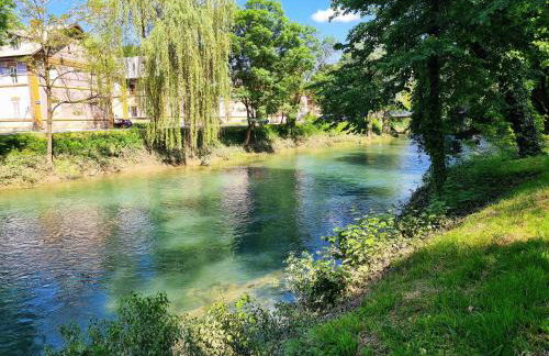 Happy Sparrow - Foto 67