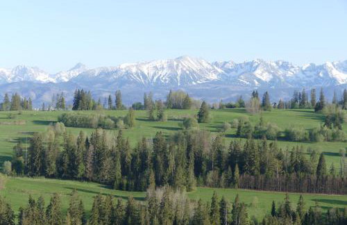 Leszczyniański Domek - Foto 38