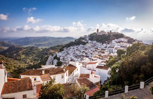 2060-Newly furnished 2 bedrooms apt with golf - Photo 18