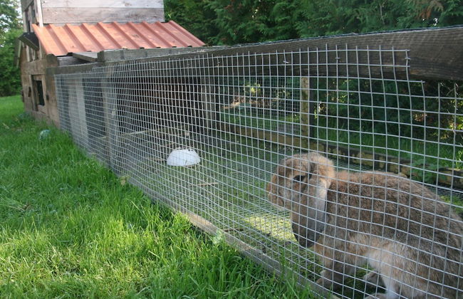 Cozy Apartment in Kägsdorf near Sea - Foto 12