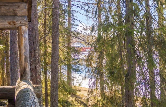 Retkietappi kelopirtti - Foto 11