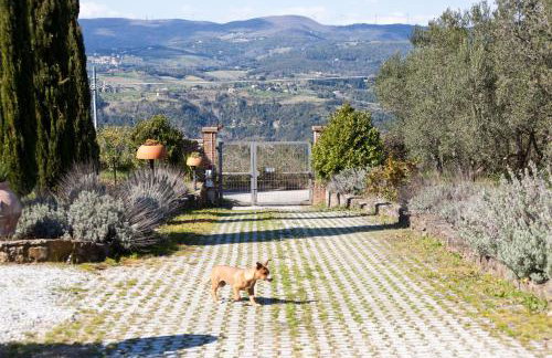 Agriturismo Antico Podere Il Polveraio - Foto 36