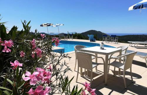 Saha tourist accommodation among olive trees and sea view - Foto 4