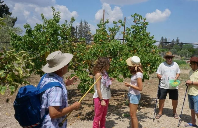 Tzionis Petroktisto Holiday Stonehouse - Photo 53