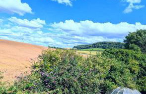 The Warm Hearth 18th Century, 15 acre Countryside Estate - Foto 32