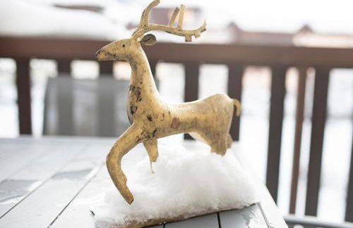 Mont Blanc 25, vue Mont blanc, balcon, parking - Photo 35