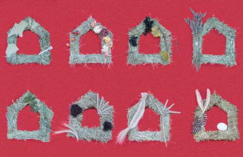 8 Grappoli Agritur - Foto 7