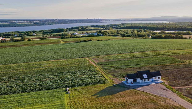 Viste aeree dei vigneti dell'Ile d'Orleans