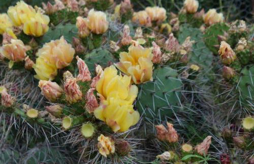Pergola Suite - Boutique Retreat Loft Barcelona Coast Panoramic Sea View - Foto 53