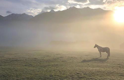 Landhaus Herzogsteig - Foto 51
