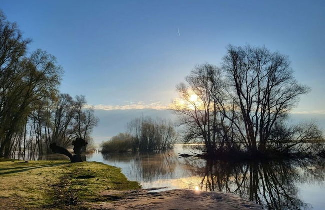 Holiday Home Chalet 79 - Photo 16