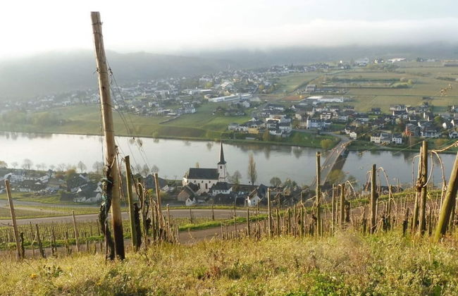 Voor 8 tot 12 Personen - Photo 25