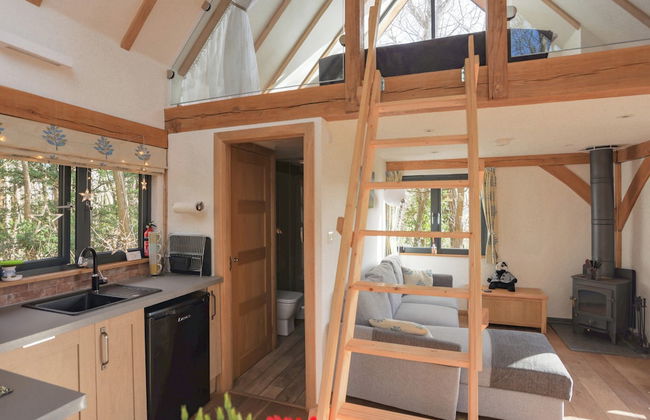 Woodland Cabin Retreat in Alfriston - hot tub - Foto 5