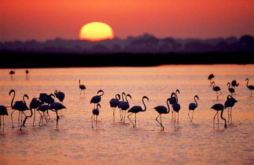 Precioso apartamento frente al mar - Foto 43