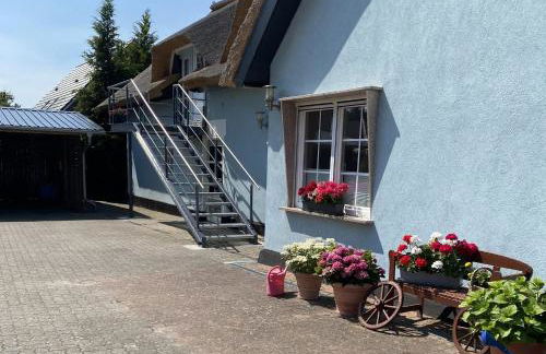 Reethaus Vilmnitz Reethaus Vilmnitz - Fewo "Muglitz" - Foto 14