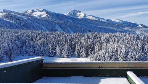 Studio cabine au pied des pistes à Villard de Lans, terrasse sud, parking gratuit - FR-1-515-106 - Foto 3