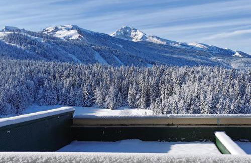 Studio cabine au pied des pistes à Villard de Lans, terrasse sud, parking gratuit - FR-1-515-106 - Foto 3