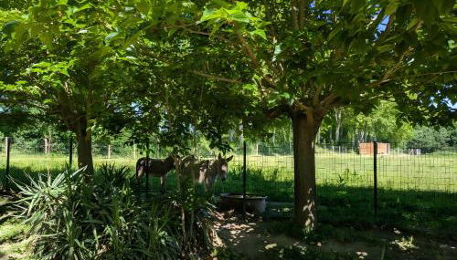 Ferme Pédagogique Bordeneuve - Foto 4